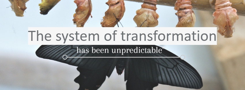 System of transformation1jpg
