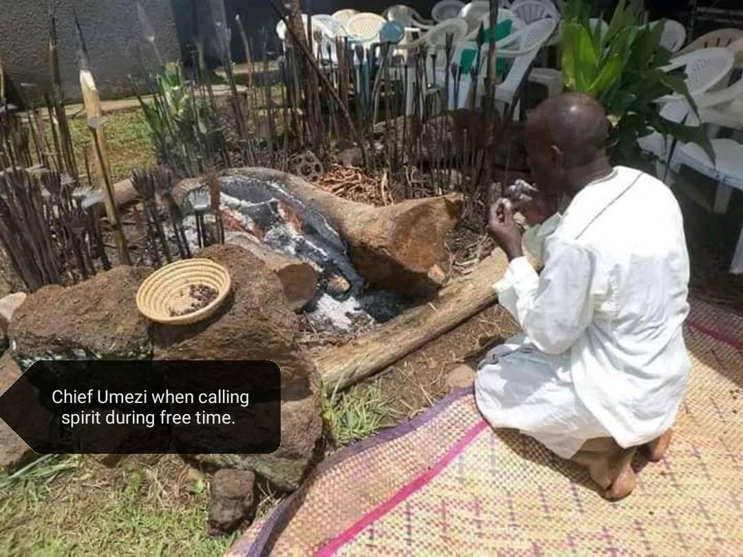 Traditional Healer