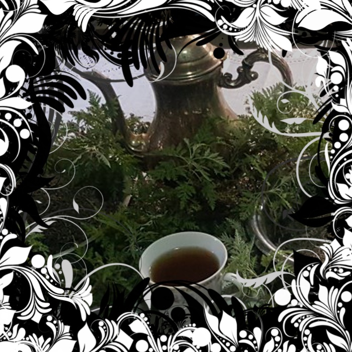 Artemisia afra Herbal Tonic Tea bags.