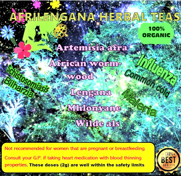 Artemisia afra Herbal Tonic Tea bags. 10 pack   African wormwood