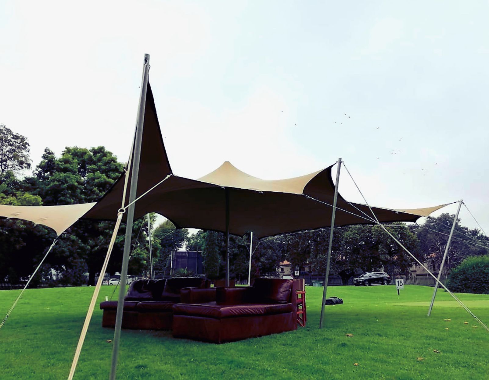 Bedouin Tent on Green Grass With Two Brown Leather Couches Underneath.